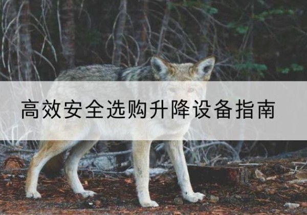 凤城升降货梯厂家推荐-*安全选购升降设备指南