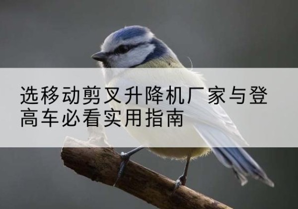 凤城电动升降机厂家-选移动剪叉升降机厂家与登高车必看实用指南