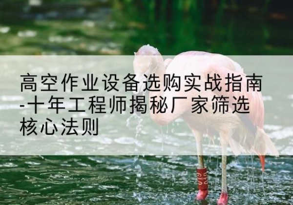 凤城剪叉式升降机厂家-高空作业设备选购实战指南-十年工程师揭秘厂家筛选核心法则